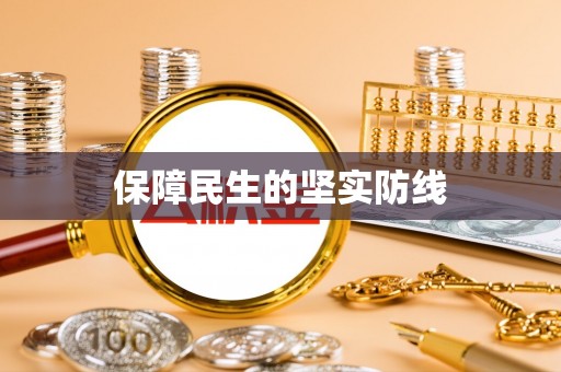 嵩县保障民生的坚实防线