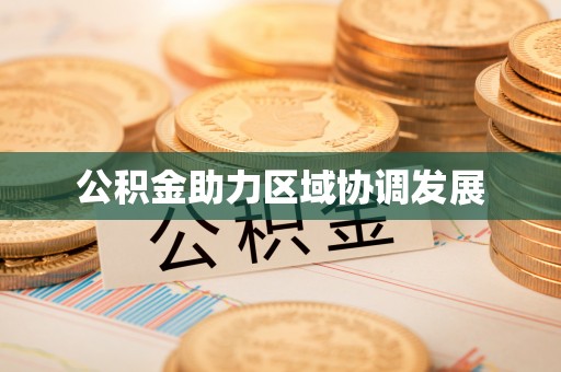 嵩县公积金助力区域协调发展