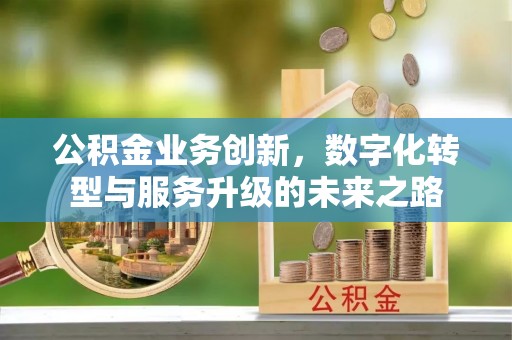 嵩县公积金业务创新，数字化转型与服务升级的未来之路