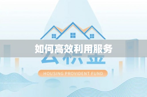 嵩县如何高效利用服务