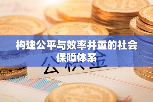 嵩县构建公平与效率并重的社会保障体系