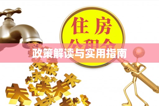 嵩县政策解读与实用指南