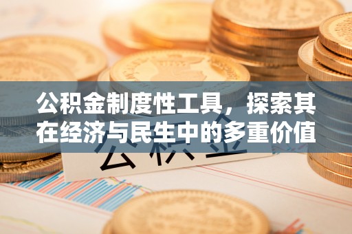 嵩县公积金制度性工具，探索其在经济与民生中的多重价值