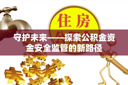 嵩县守护未来——探索公积金资金安全监管的新路径