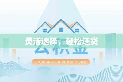 嵩县灵活选择，轻松还贷