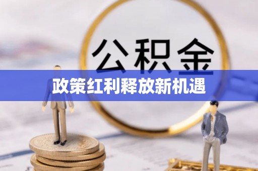 嵩县政策红利释放新机遇