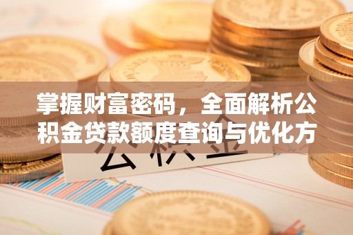 嵩县掌握财富密码，全面解析公积金贷款额度查询与优化方案
