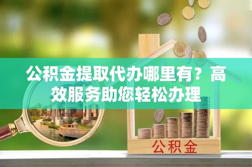 嵩县公积金提取代办哪里有？高效服务助您轻松办理