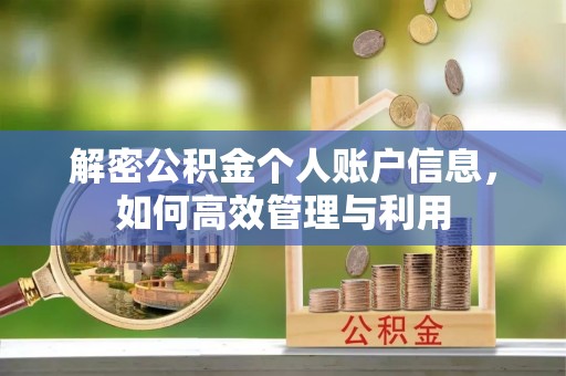 嵩县解密公积金个人账户信息，如何高效管理与利用
