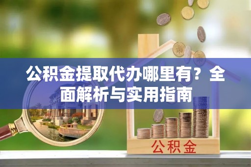 嵩县公积金提取代办哪里有？全面解析与实用指南