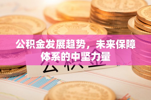 嵩县公积金发展趋势，未来保障体系的中坚力量