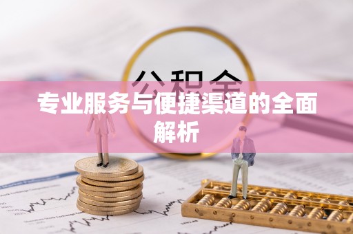嵩县专业服务与便捷渠道的全面解析