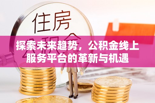 嵩县探索未来趋势，公积金线上服务平台的革新与机遇