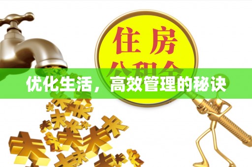 嵩县优化生活，高效管理的秘诀