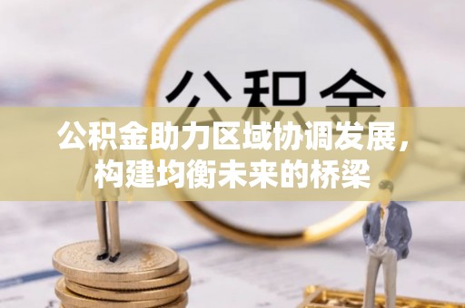 嵩县公积金助力区域协调发展，构建均衡未来的桥梁