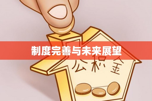 嵩县制度完善与未来展望