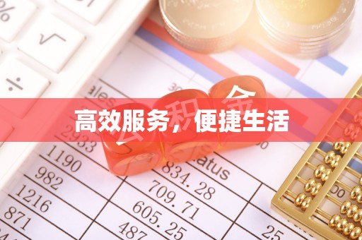 嵩县高效服务，便捷生活