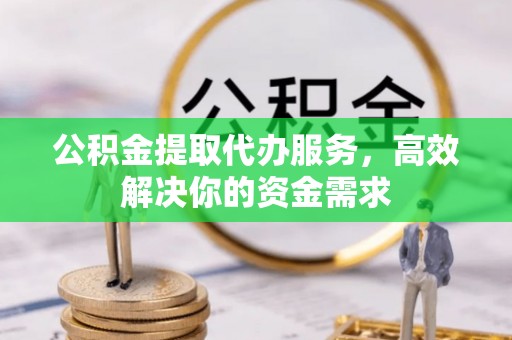 嵩县公积金提取代办服务，高效解决你的资金需求