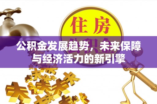 嵩县公积金发展趋势，未来保障与经济活力的新引擎