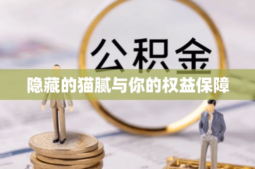 嵩县隐藏的猫腻与你的权益保障