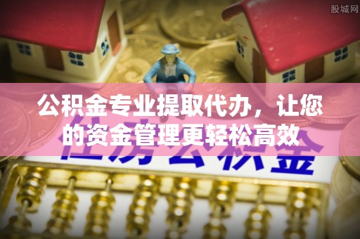 嵩县公积金专业提取代办，让您的资金管理更轻松高效
