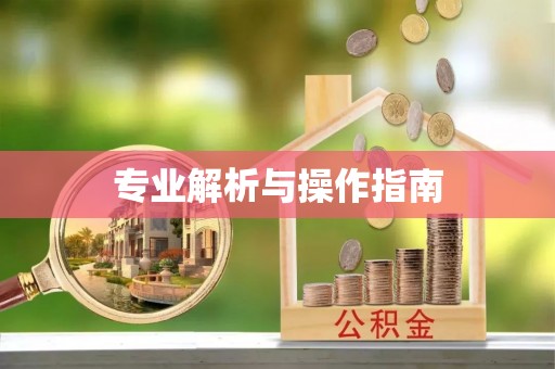 嵩县专业解析与操作指南