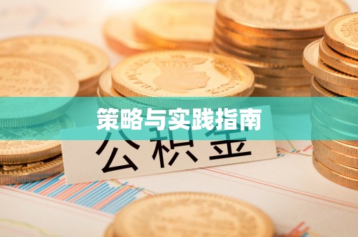 嵩县策略与实践指南