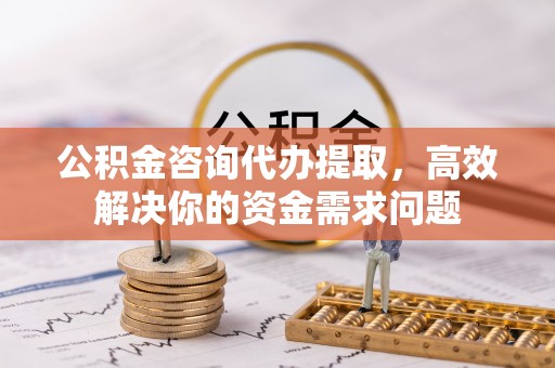 嵩县公积金咨询代办提取，高效解决你的资金需求问题