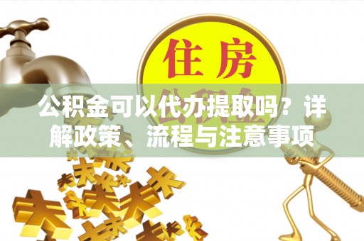 嵩县公积金可以代办提取吗？详解政策、流程与注意事项