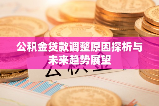 嵩县公积金贷款调整原因探析与未来趋势展望
