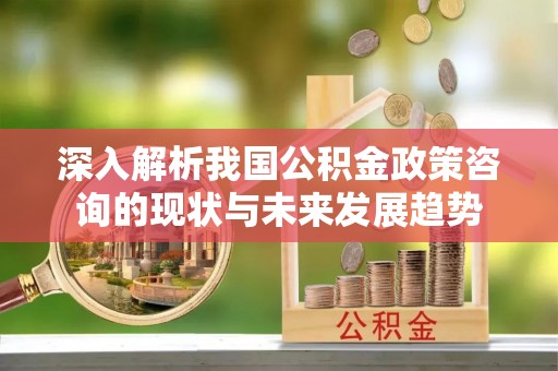 嵩县深入解析我国公积金政策咨询的现状与未来发展趋势