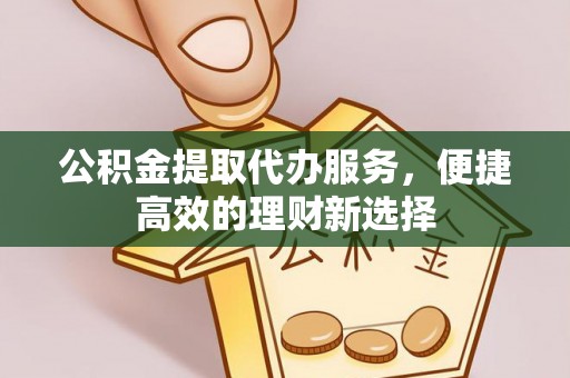 嵩县公积金提取代办服务，便捷高效的理财新选择