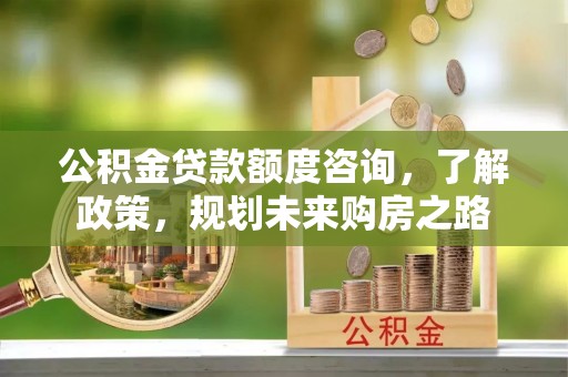 嵩县公积金贷款额度咨询，了解政策，规划未来购房之路