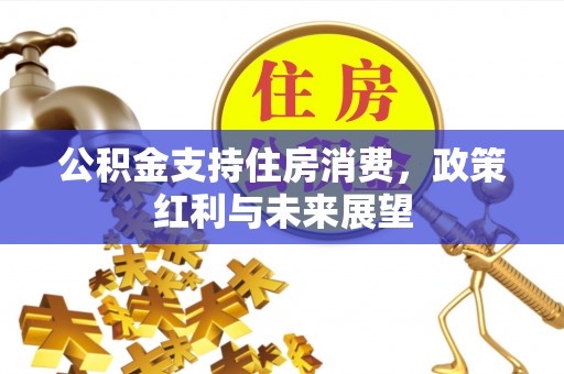 嵩县公积金支持住房消费，政策红利与未来展望