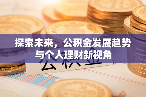 嵩县探索未来，公积金发展趋势与个人理财新视角