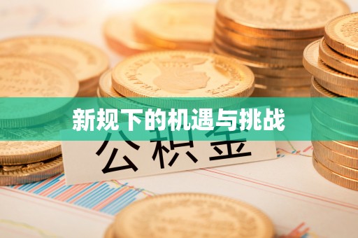 嵩县新规下的机遇与挑战