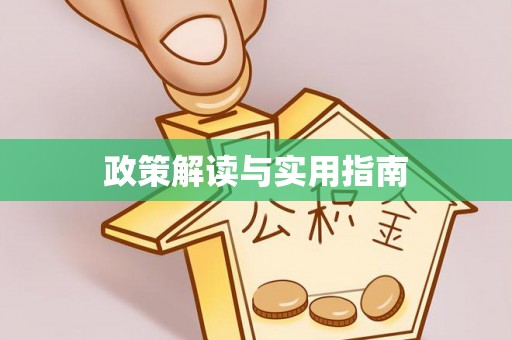 嵩县政策解读与实用指南