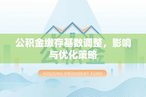 嵩县公积金缴存基数调整，影响与优化策略