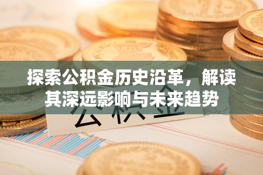 嵩县探索公积金历史沿革，解读其深远影响与未来趋势