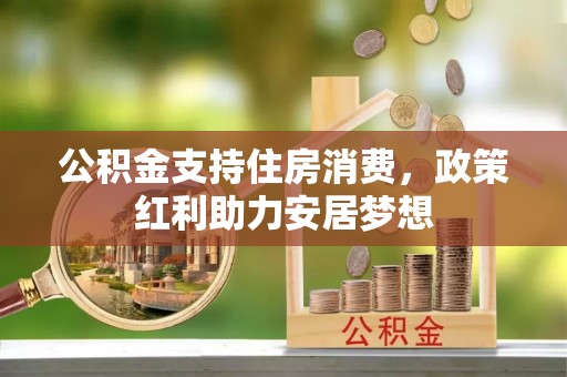 嵩县公积金支持住房消费，政策红利助力安居梦想