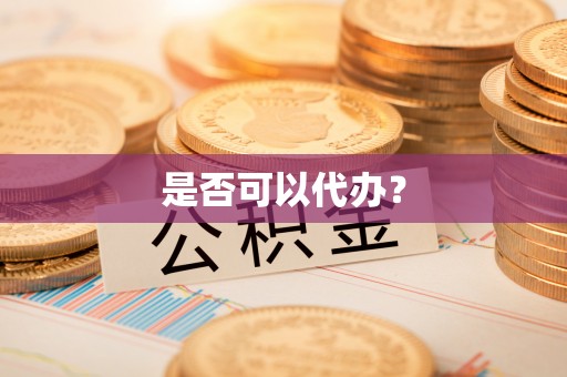 嵩县是否可以代办？