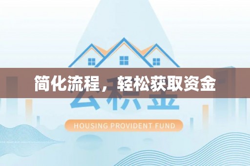 嵩县简化流程，轻松获取资金