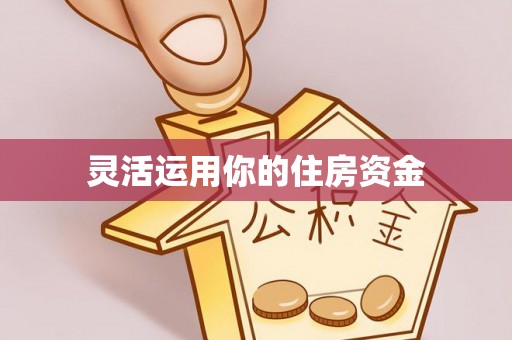 嵩县灵活运用你的住房资金
