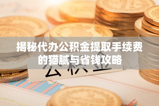 嵩县揭秘代办公积金提取手续费的猫腻与省钱攻略