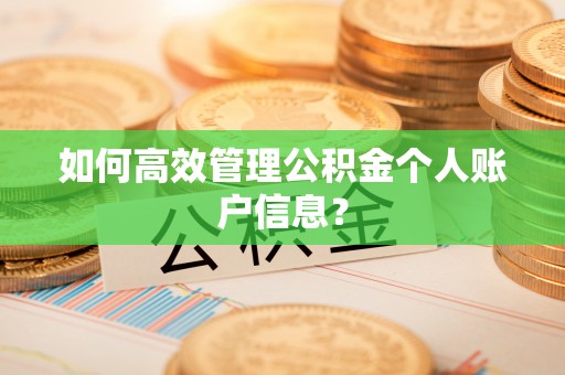 嵩县如何高效管理公积金个人账户信息？