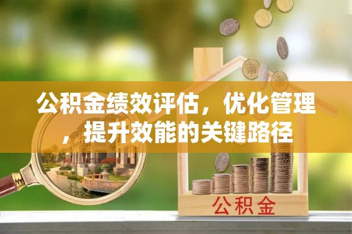 嵩县公积金绩效评估，优化管理，提升效能的关键路径