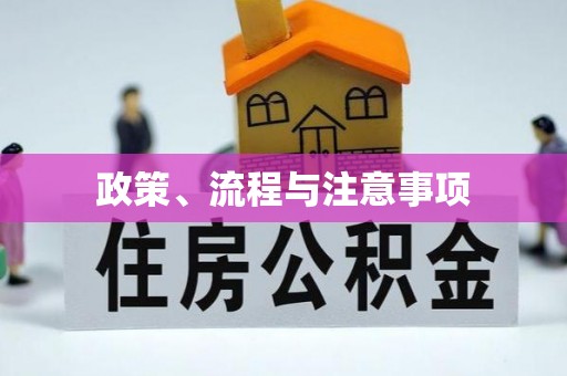 嵩县政策、流程与注意事项