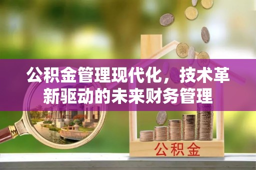 嵩县公积金管理现代化，技术革新驱动的未来财务管理