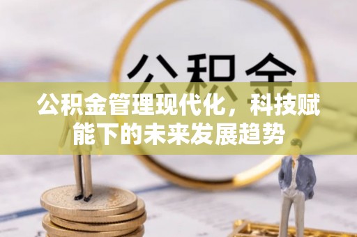 嵩县公积金管理现代化，科技赋能下的未来发展趋势