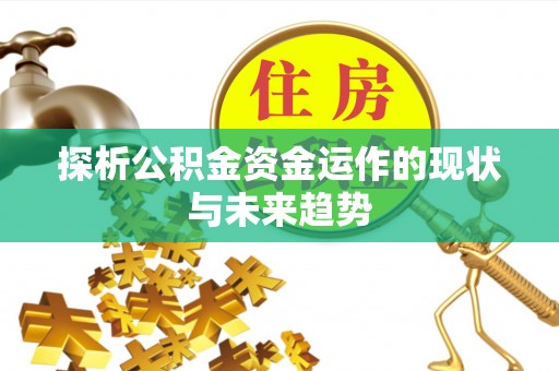 嵩县探析公积金资金运作的现状与未来趋势